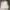 Vintage Casual Harrington jacket Pria white gray photo 2