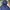 Hollister Casual Puffer jacket Pria navy photo 3