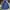 Hollister Casual Puffer jacket Pria navy photo 2