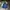 Hollister Casual Puffer jacket Pria navy photo 1