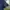 Covernat Y2K T-shirt Kids navy photo 4
