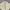 Castelbajac Minimalist Suit Pria cream photo 3