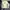 Castelbajac Minimalist Suit Pria cream photo 2