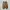 Dickies Casual Sneakers Pria tan blue photo 5
