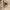 H&M Casual Casual pants Pria cream black photo 4