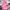Vintage Puffer jacket Pria pink photo 1