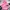 Vintage Puffer Jacket Pria Pink