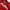 Feltics Streetwear Sweatshirt Pria red photo 3
