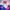 Phenix Vintage Puffer Jacket Pria Pink Blue