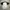 Nike Sportswear Jersey Pria white photo 1
