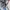 H&M Luxury Capes & Poncho Kids Multicolor