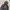 Dickies Casual Hoody Pria gray photo 3