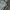 The North Face Streetwear Sportswear Windbreaker Pria multicolor photo 2