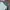 The North Face Streetwear Sportswear Windbreaker Pria multicolor photo 5