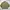 LYNXSPORT Vintage Harrington jacket Pria green photo 4