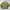 LYNXSPORT Vintage Harrington jacket Pria green photo 1