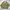 LYNXSPORT Vintage Harrington jacket Pria green photo 3
