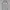 WHO.A.U Avant Garde Track jacket Pria gray photo 1