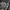 WHO.A.U Avant Garde Track jacket Pria gray photo 2