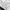Vintage Bomber jacket Pria white black photo 6