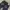 True Religion Casual Wanita navy blue photo 7