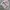 Casual Sweatshirt Pria multicolor photo 2