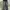 Casual Dress Shoe Pria Gray