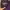 Uniqlo Goth Emo Sweater Pria purple black photo 4