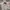Birkenstock Y2K Cosplay Hoody Pria gray photo 1