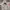 Birkenstock Y2K Cosplay Hoody Pria Gray