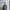 Montbell Sportswear Windbreaker Pria navy photo 1