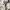 Streetwear Minimalist Sweatshirt Pria white photo 5