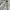 Nike Vintage Windbreaker Pria white photo 1