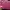 Coach Casual Handbag Wanita purple pink photo 2