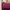 Coach Casual Handbag Wanita purple pink photo 8