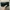 Longchamp Casual Clutch Wanita black photo 3