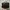 Longchamp Casual Clutch Wanita Black