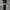 Adidas Sportswear Sweatpants & Joggers Pria black photo 3