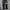 Adidas Sportswear Sweatpants & Joggers Pria black photo 1