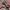 JanSport Y2K Bag Pria multicolor photo 3