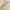 Crocodile Casual Formal shirt Pria multicolor photo 3