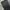 Adidas Sportswear Sweatpants & Joggers Pria black photo 3