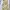 Fairy Coquette Summer dress Wanita multicolor green photo 3