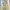 Fairy Coquette Summer Dress Wanita Multicolor Green