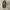 Coach Casual Shoulder bag Wanita brown photo 6