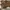 Coach Casual Shoulder bag Wanita brown photo 4