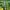 Beams Skater Sweatshirt Pria green photo 3