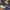 UNIONBAY Casual Formal shirt Pria multicolor photo 3
