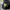 Oakley Vintage Bag Pria black photo 3