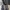 Japanese brand Y2K Casual Flare pants Wanita black gray photo 3